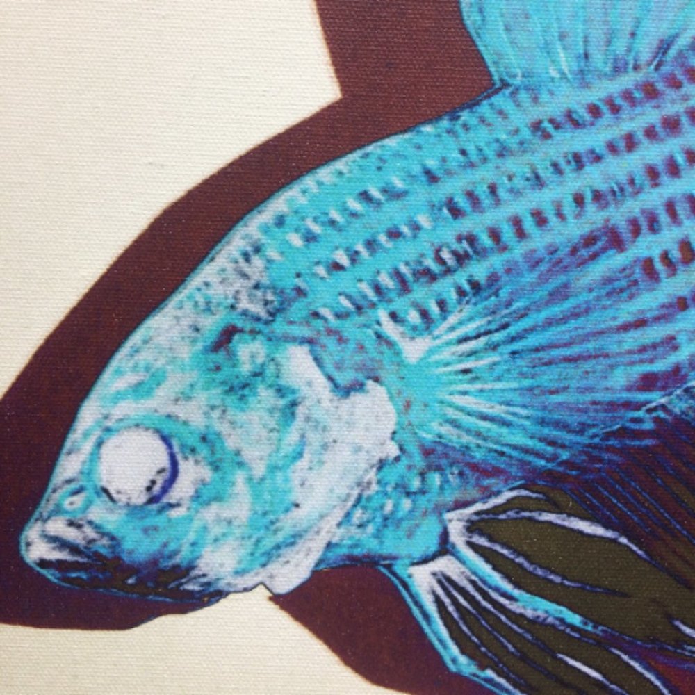 Beta Fish - Original Wall Art print on 12 x 12 canvas - Picture 4 of 6